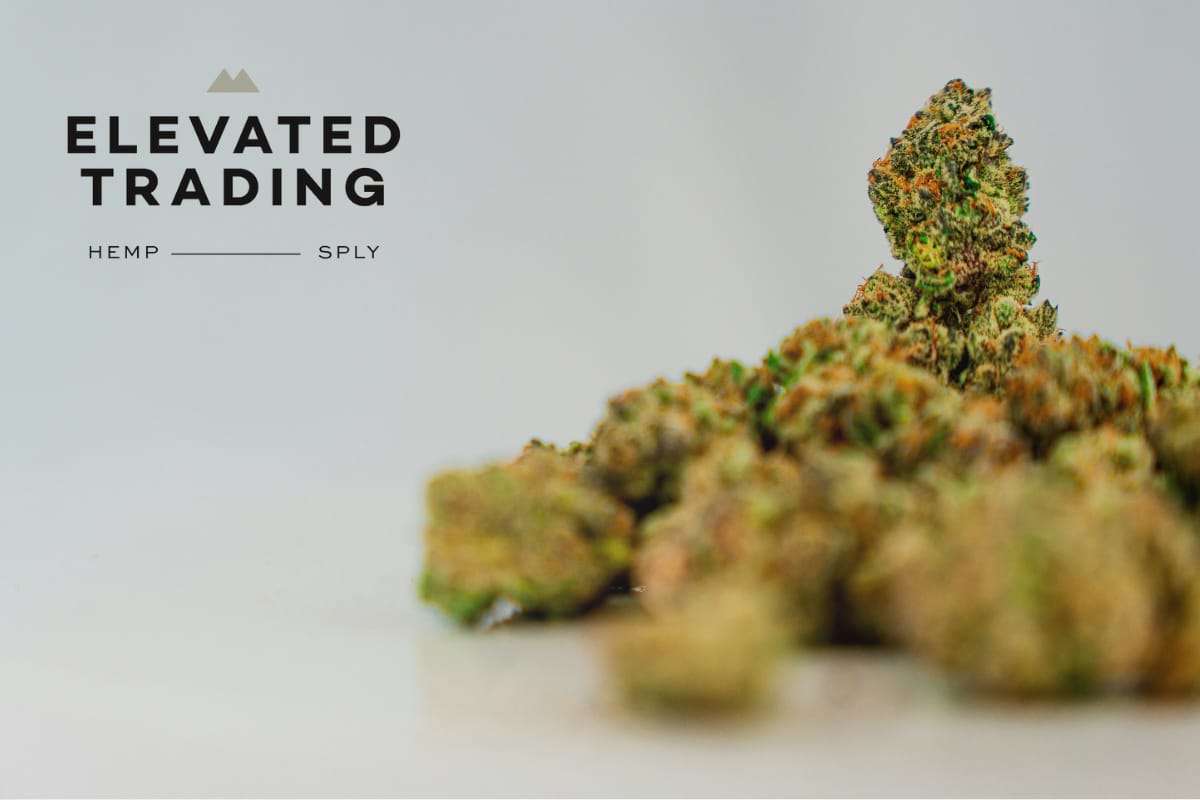 Starting a THCa Business? Here’s What You Need to Know