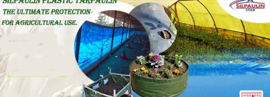 Mohan Tarp Cover Image