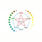 FiveElements Profile Picture