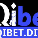 qibetdiyla Profile Picture