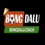 bongdalu coach Profile Picture