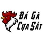 dagacuasat pro Profile Picture