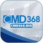 Cmd368 bid Profile Picture