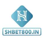 SHBET800 IN Profile Picture
