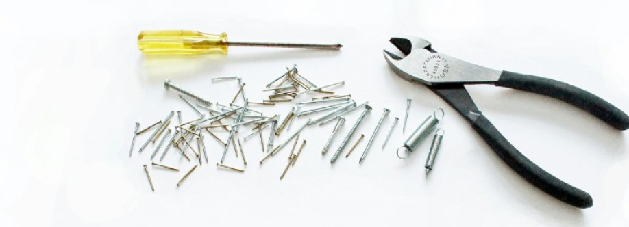 Repair Master Cover Image