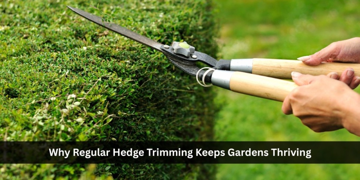 Why Regular Hedge Trimming Keeps Gardens Thriving