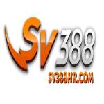 SV388 Profile Picture