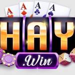 1Haywin Profile Picture