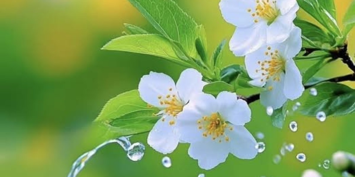 Preceding Texans exclusive teamer, supporter favored Bryan Braman passes absent at 38