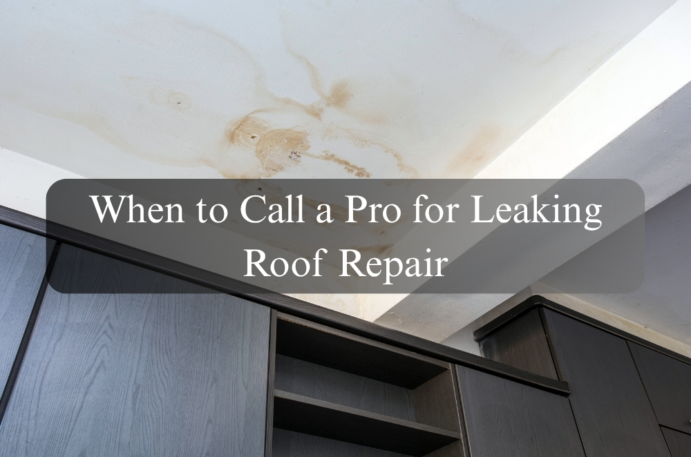 When to Call a Pro for Leaking Roof Repair | t2.world