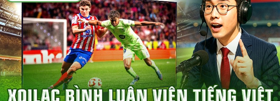 festival6vn Cover Image