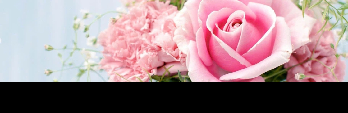 Shop Hoa Phú Thọ Cover Image