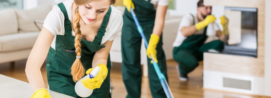 Pristine Cleaners Orange County Cover Image