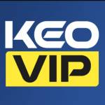 Kèo nhà cái Osaka Profile Picture