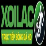 conseildesartsorg fake Profile Picture