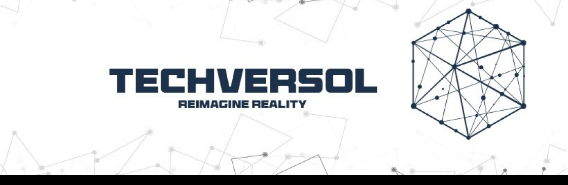 Techversol Inc Cover Image