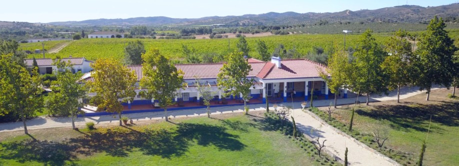 Ibogaine Treatment centre Cover Image