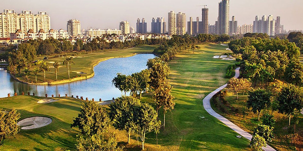 The Future of Real Estate in Noida: Insights and Predictions