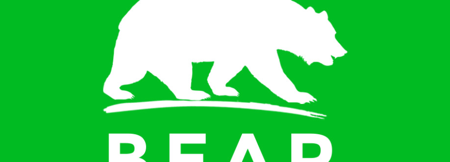 Alaska Bear Viewing Cover Image