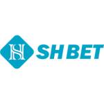 shbet Profile Picture