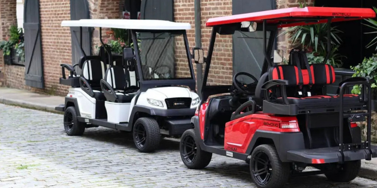 Why More People Are Choosing LSVs for Local Travel