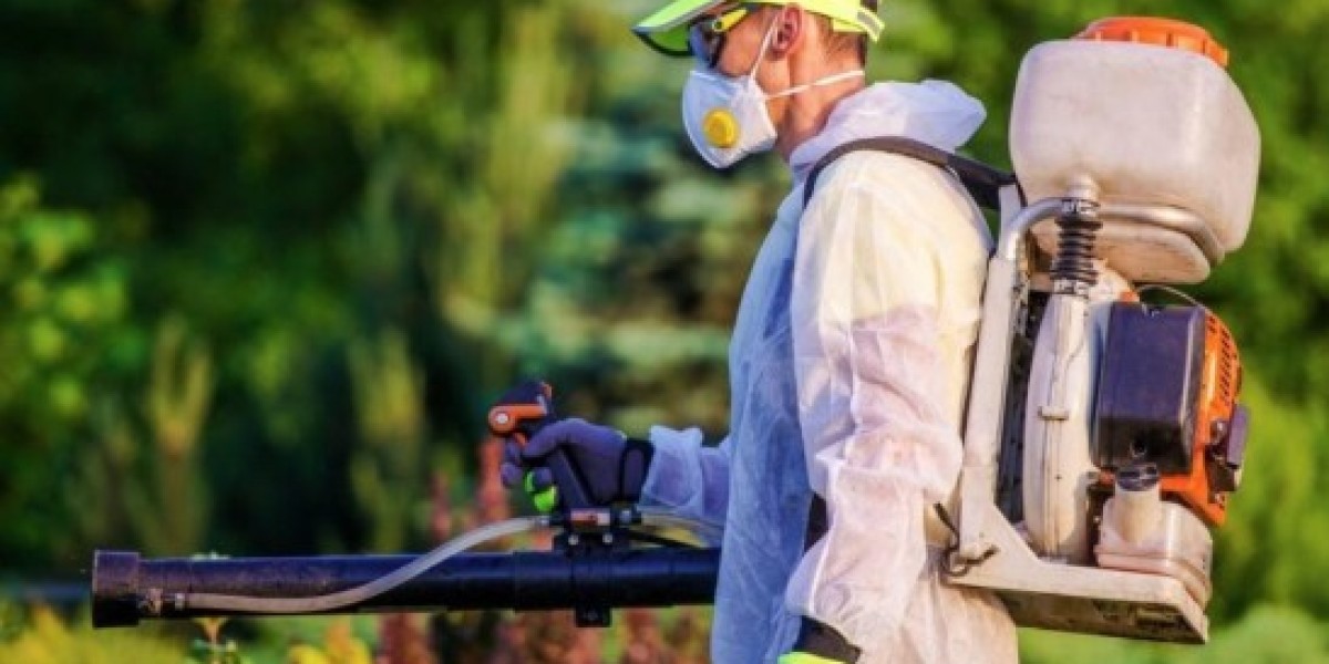 Effective Pest Solutions and Pest Solution Services for Homes