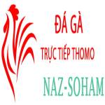 Đá Gà Trực Tiếp Thomo Profile Picture