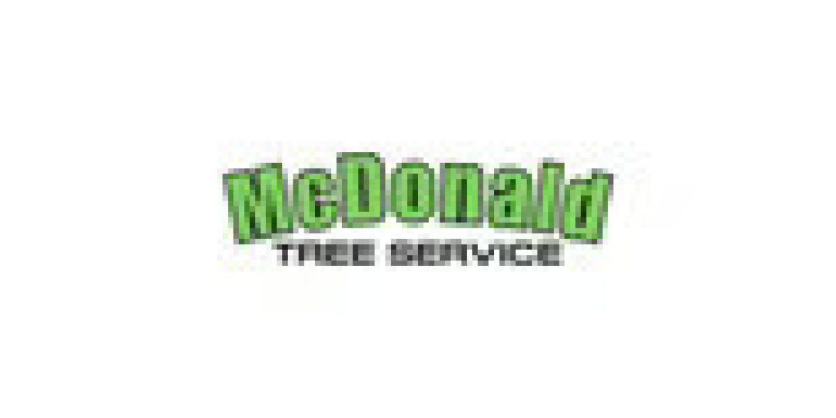 Emergency Crane Rental for Tree Removal You Can Count On