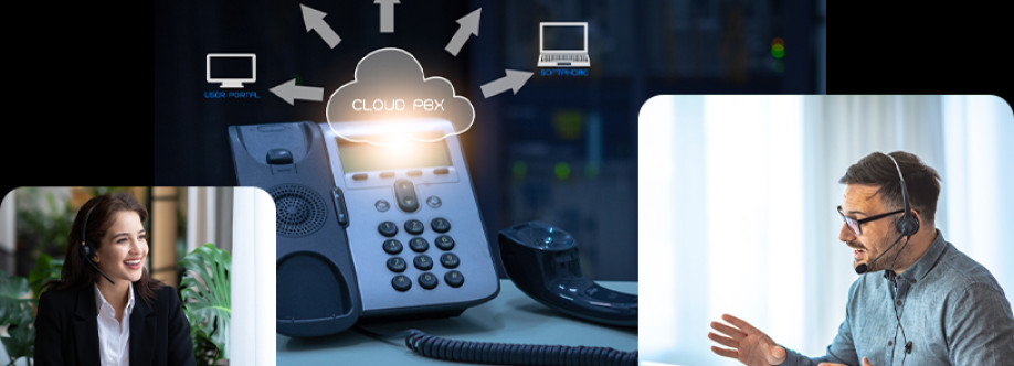 Digitorzo LLC Cover Image