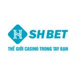 shbetrodeo Profile Picture