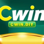 Cwin diy Profile Picture