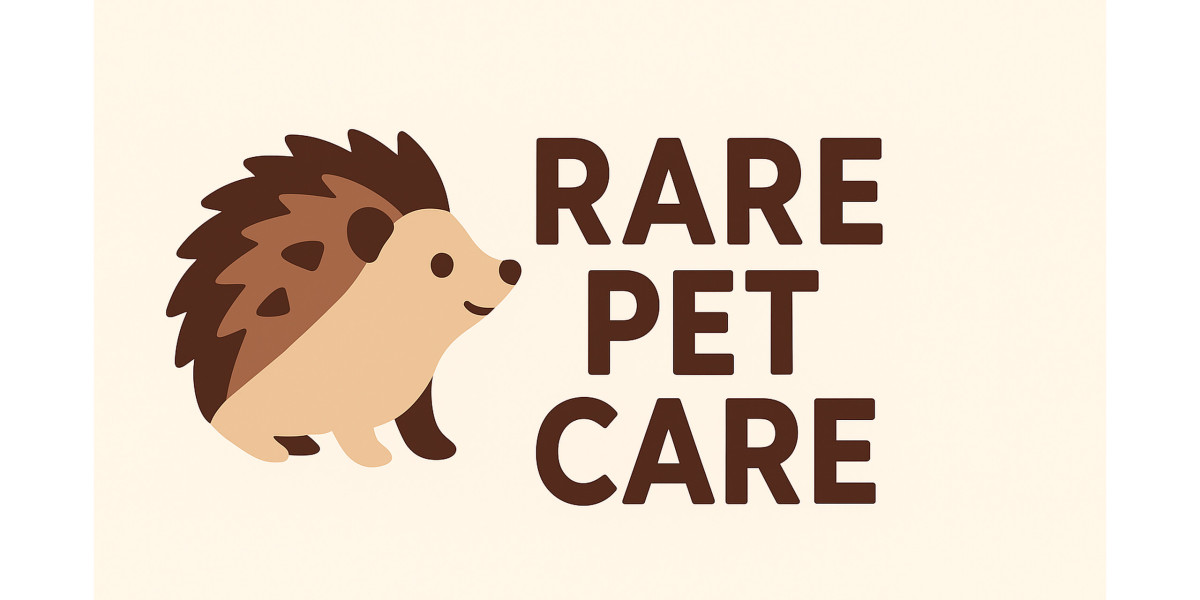 Travel Agents in Lahore – Your Complete Guide to Hassle-Free Travel