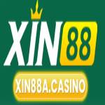 xin88acasino Profile Picture