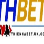 thienhabet design Profile Picture