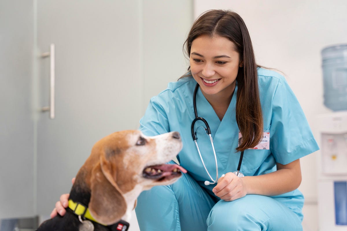Veterinary Hospital Check-Ups: Keeping Pets Healthy All Year Round | by Silverado Veterinary Hospital | Sep, 2025 | Medium