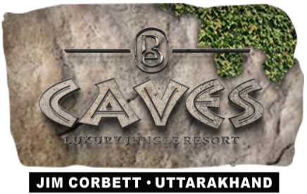 2025 Top-Rated 5 Star Resorts in Jim Corbett Forest Zone