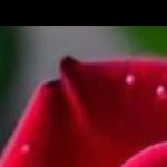 smithwilliams jii Profile Picture