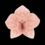 Yoni Massage Therapist Profile Picture