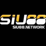 SIU88 NETWORK Profile Picture