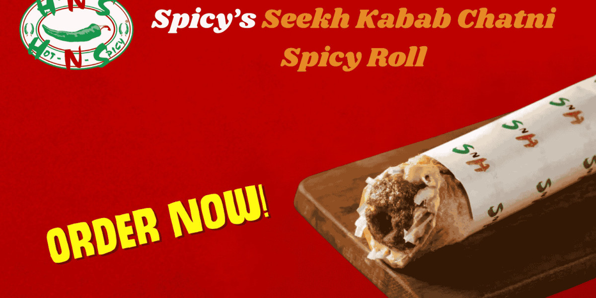 Why Foodies Love Hot N Spicy’s Seekh Kabab Chatni Spicy Roll