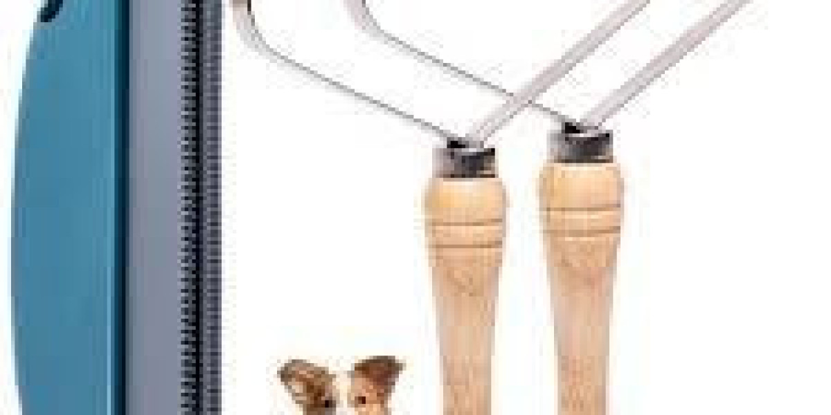 Expanding Opportunities With Pet Hair Scraper Supplier Support From Tallfly