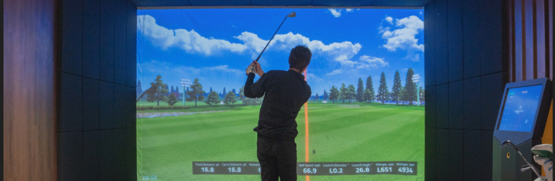 Play Golf VX Cover Image