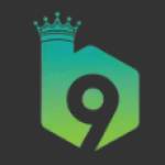 B9 Game Profile Picture