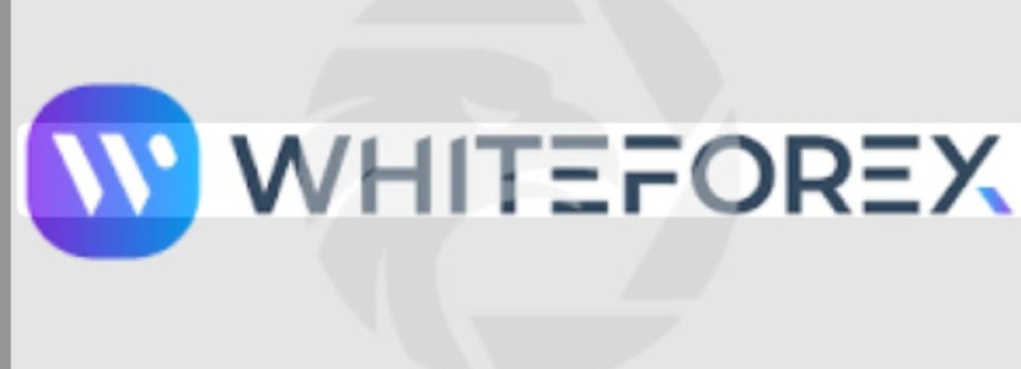 White forex Cover Image