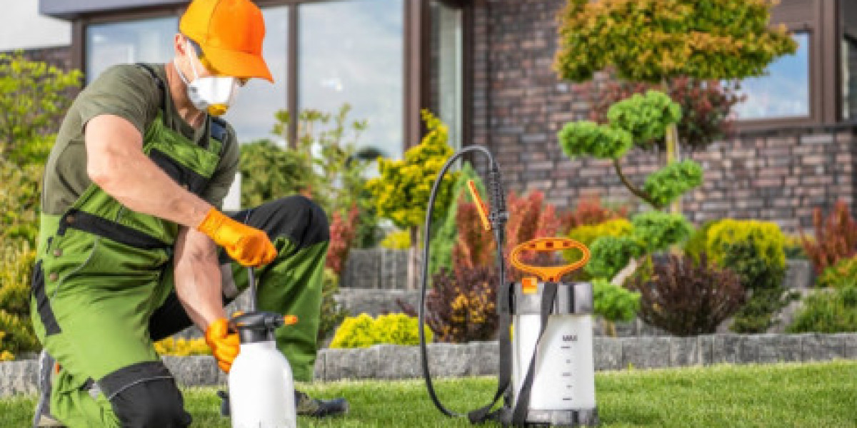 Effective Bed Bug Treatment for a Peaceful Night's Sleep