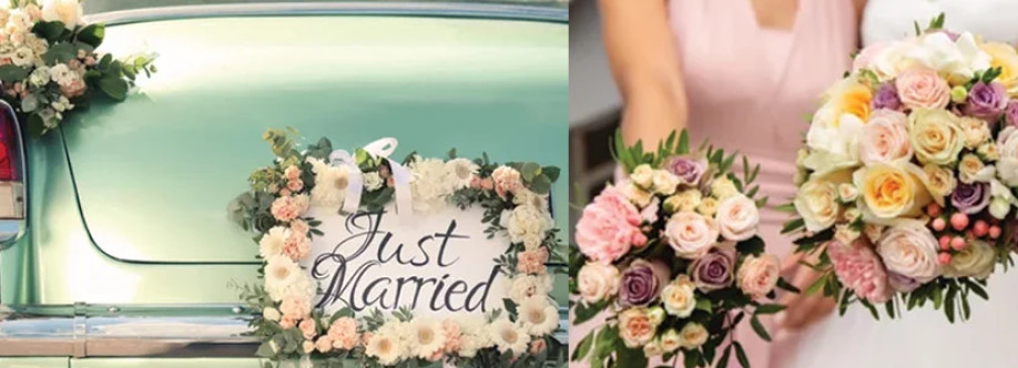 Whole Blossoms Cover Image