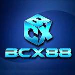 bcx88rafaus Profile Picture