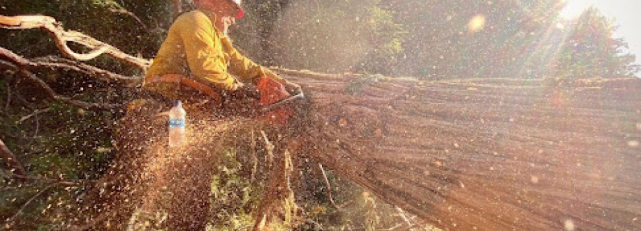 Texas Land Clearing Solutions Cover Image