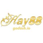 HAY88 godashio Profile Picture