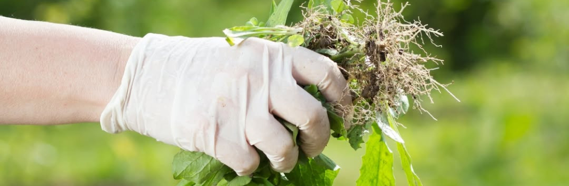 Weed Pro Lawn Care Cover Image